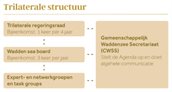 Afbeeldingtril_bw2
